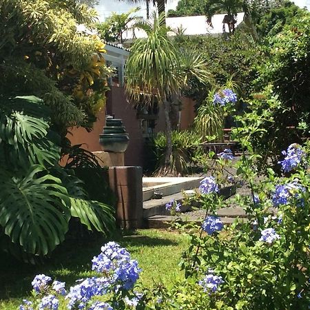 Mediteranean Style Ohana Rental / Garden Bungalow In Pahoa Honolulu Landing Экстерьер фото
